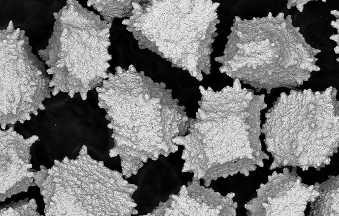 Coated Diamonds / CBN